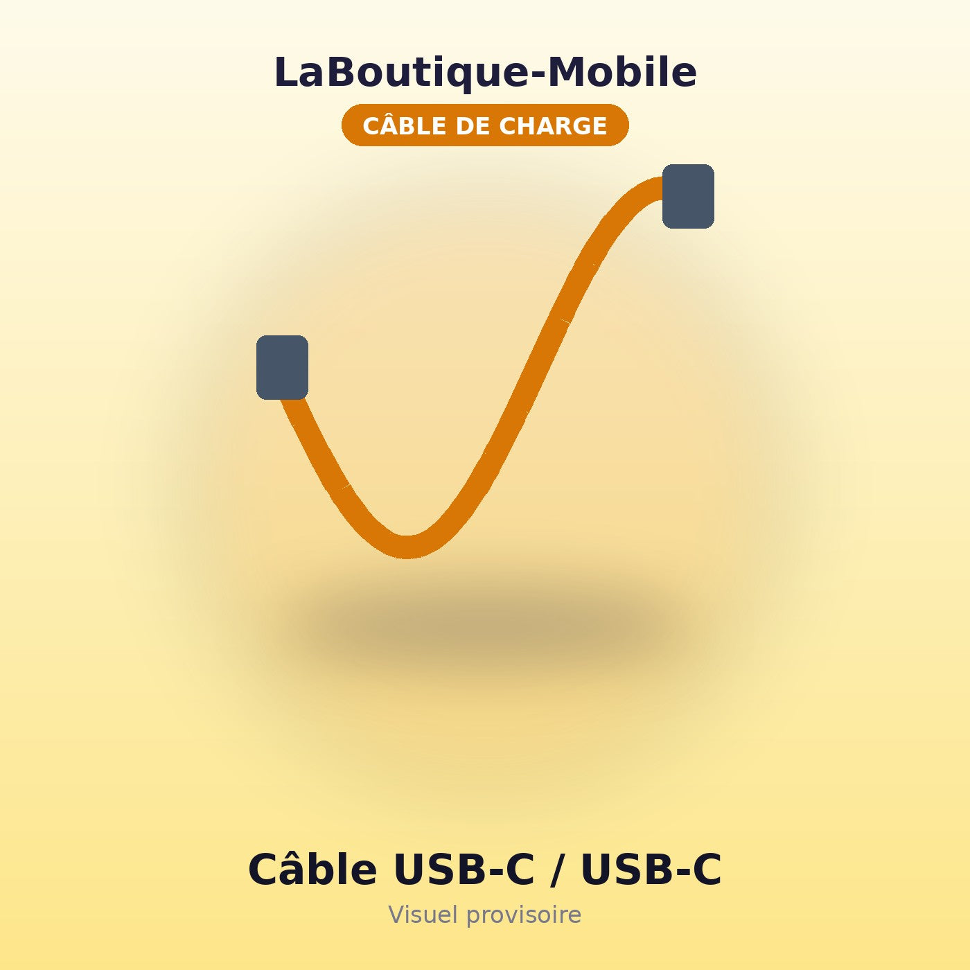 Câble USB-C vers USB-C 1m