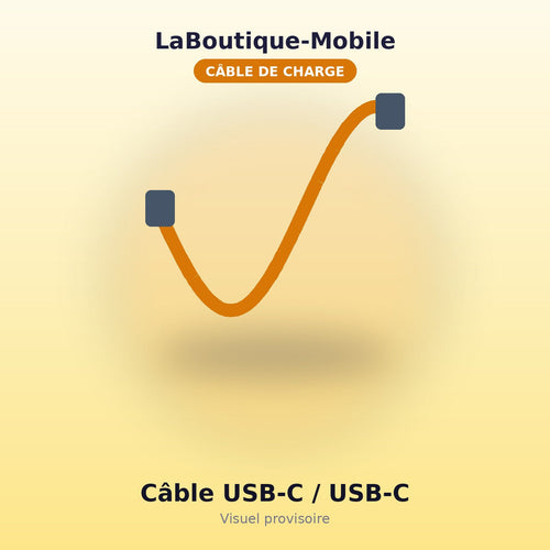 Câble USB-C vers USB-C 1m