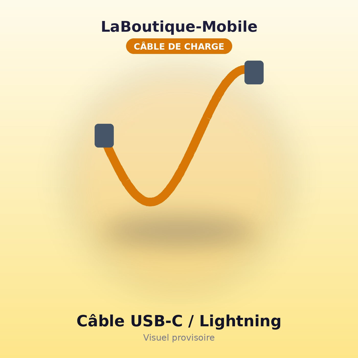 Câble USB-C vers Lightning 1m