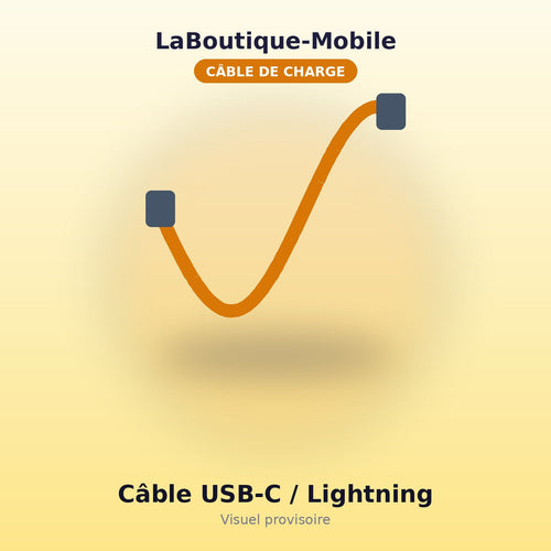 Câble USB-C vers Lightning 1m
