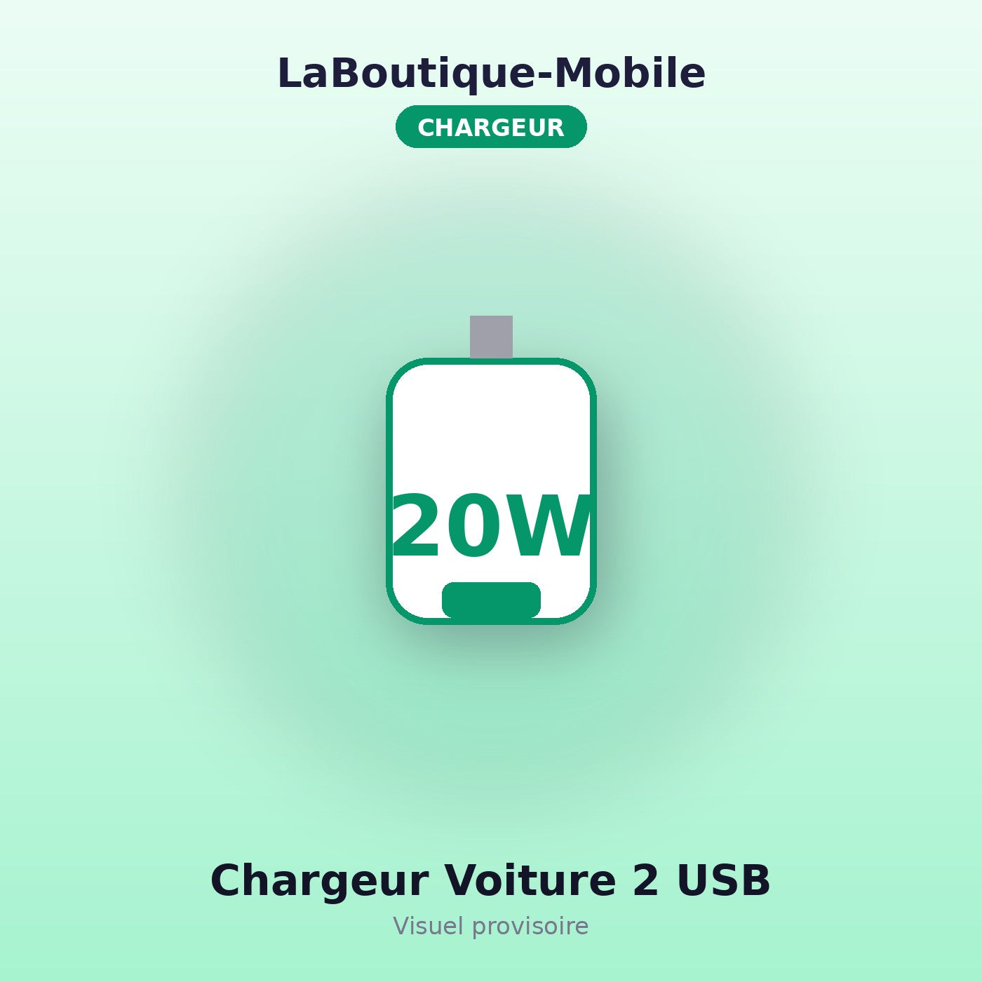Chargeur Voiture Double USB